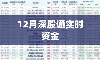 深股通实时资金流向解析