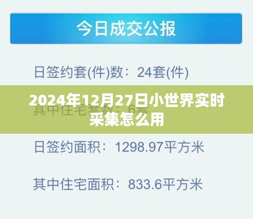 2024年小世界实时采集功能使用指南