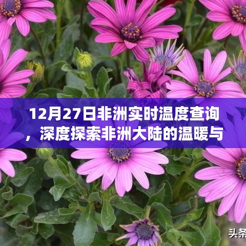 非洲实时温度查询，探索大陆的温度变化