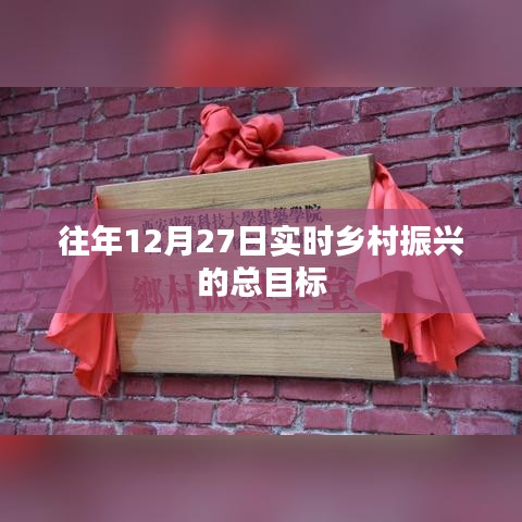 乡村振兴实时目标解析，历年12月27日的进展与总目标