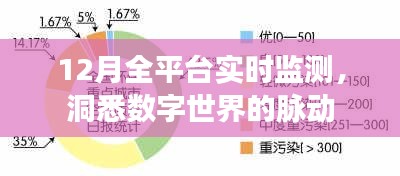 12月全平台实时监测，数字世界的脉搏洞察