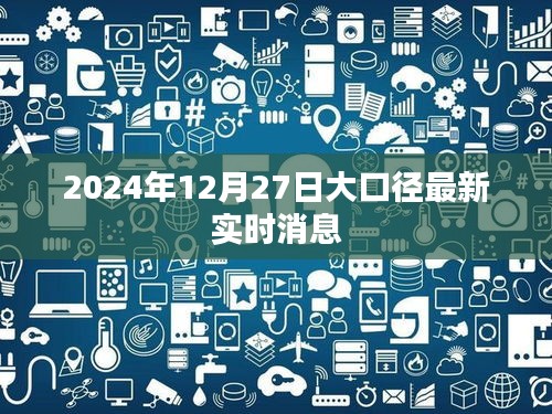 大口径最新实时消息（2024年12月27日更新）