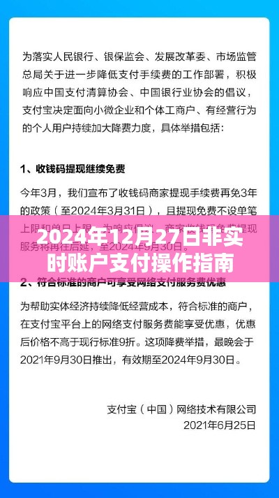 非实时账户支付操作指南（适用于2024年12月）