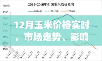 玉米市场走势分析，价格实时动态与未来预测