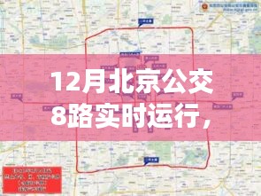 北京公交8路，城市脉络的生动写照，实时运行查询