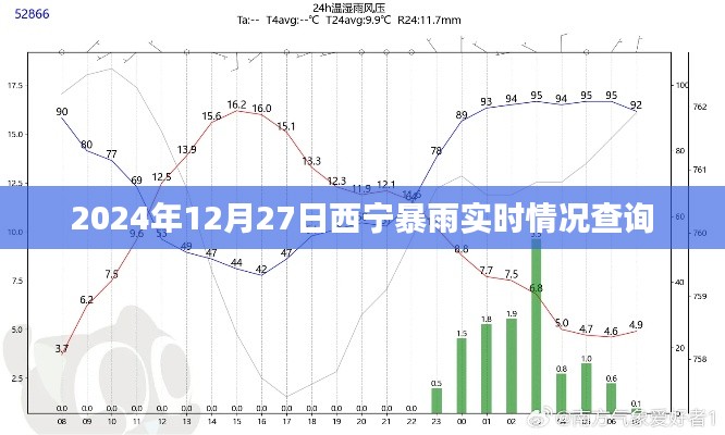 西宁暴雨实时更新，最新动态与查询指南