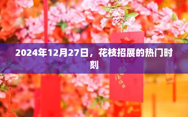 2024年12月27日花枝招展时刻来临