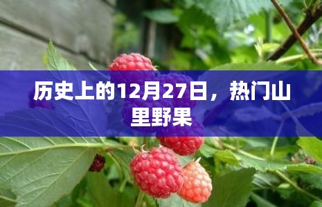 历史上的大事件，12月27日山里野果盘点