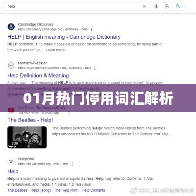 热门停用词汇解析，深度解读一月份词汇背后的故事