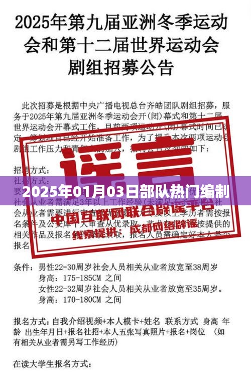 部队热门编制揭秘，展望2025年元月新动向