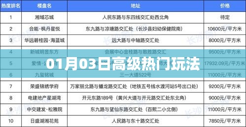 01月03日高级玩法揭秘