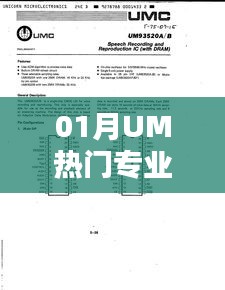 UM热门专业深度解析，一月最新动态！