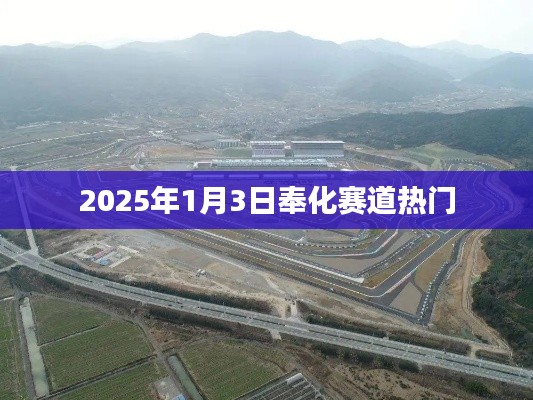 奉化赛道，2025年1月3日赛事盛况展望