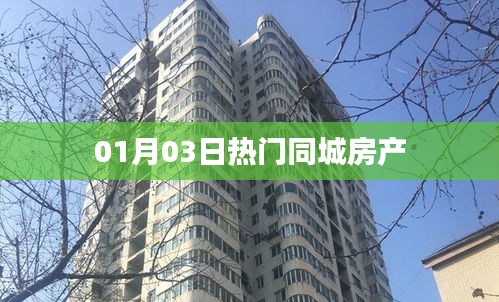 最新热门同城房产动态速递，01月03日一览无遗