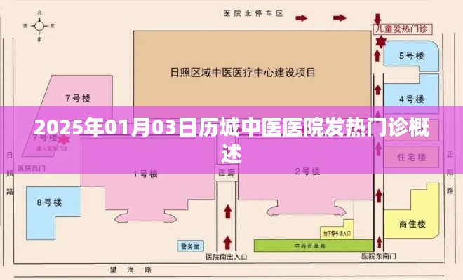 历城中医医院发热门诊概览，2025年1月概况