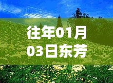 东芳花园自由行指南，精选攻略助你畅游无阻