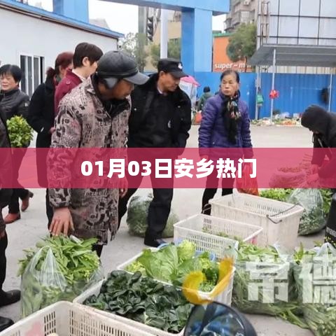 安乡最新热点资讯，01月03日热议话题