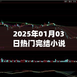 2025年热门完结小说排行榜揭晓