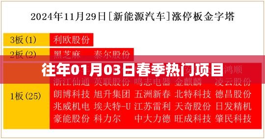 『春季热门项目一览』往年元月三日盘点热榜项目