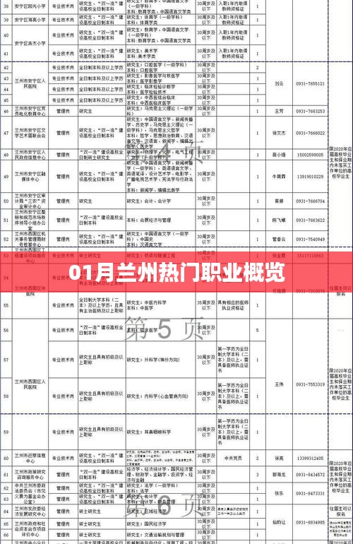 兰州一月份热门职业概览