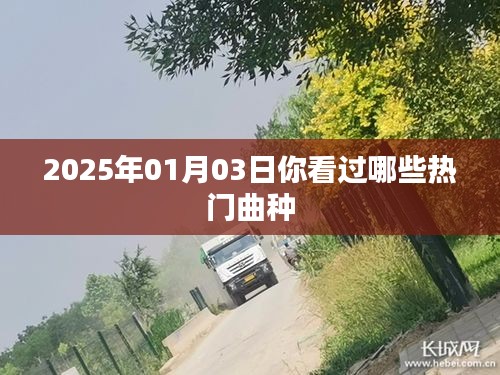 『2025年热门曲种回顾』