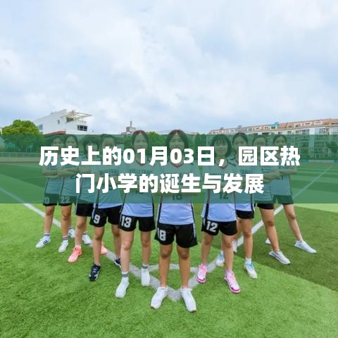 园区热门小学的诞生与成长历程，历史视角下的01月03日回顾