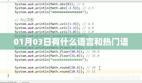 语言热门更新速递，最新热门语言及流行语盘点