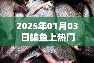 鳊鱼热潮来袭，揭秘其背后的故事，时间锁定在2025年