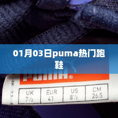 Puma热门跑鞋，时尚与性能并存，引领潮流新风尚