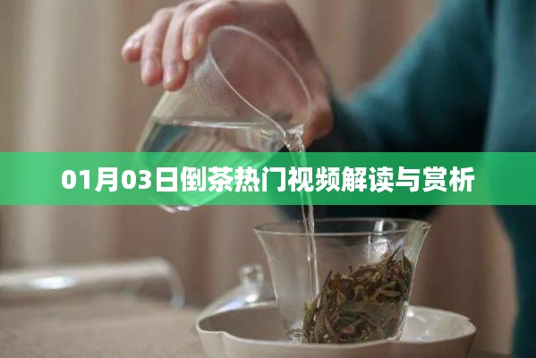 热门倒茶视频解读赏析，礼仪背后的故事