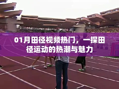 一探魅力田径运动热潮，本月热门视频全解析