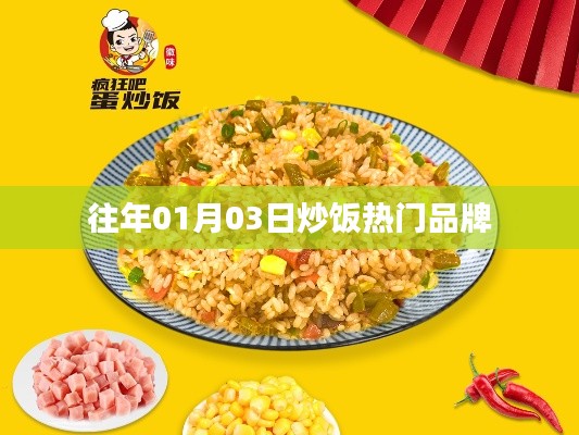 炒饭热门品牌历年盘点（附详细榜单）