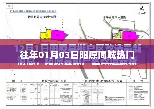 2025年1月8日 第15页