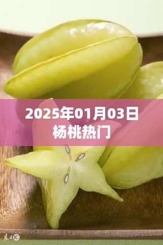 杨桃热门资讯速递，2025年1月3日动态