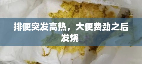 排便突发高热，大便费劲之后发烧 