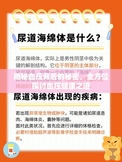 揭秘血压背后的秘密，全方位探讨血压健康之道