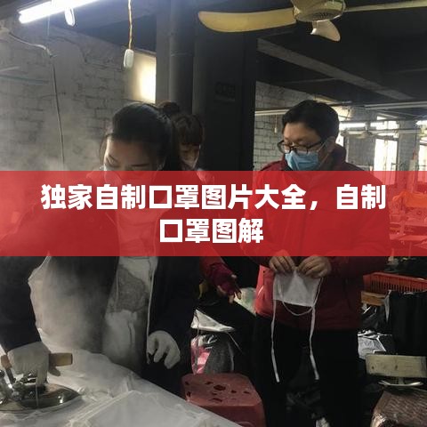 独家自制口罩图片大全，自制口罩图解 