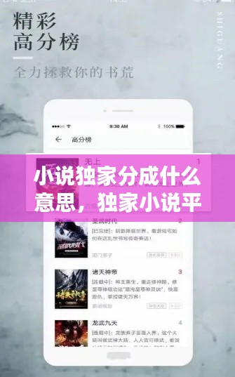 小说独家分成什么意思，独家小说平台 