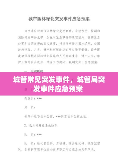 城管常见突发事件，城管局突发事件应急预案 