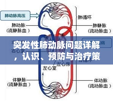 突发性肺动脉问题详解，认识、预防与治疗策略