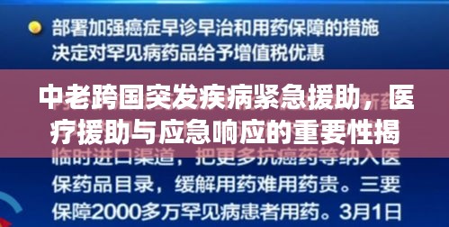 中老跨国突发疾病紧急援助，医疗援助与应急响应的重要性揭秘