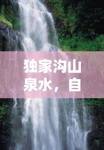 2025年1月10日 第14页