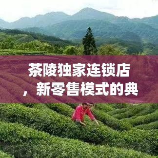 茶陵独家连锁店，新零售模式的典范探索