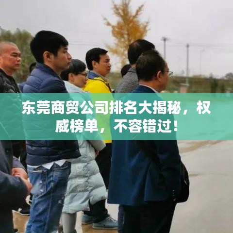 东莞商贸公司排名大揭秘，权威榜单，不容错过！