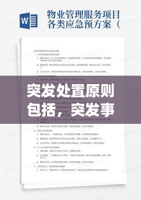 突发处置原则包括，突发事件的处置原则包括 