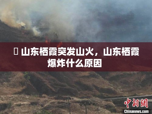 輊 山东栖霞突发山火，山东栖霞爆炸什么原因 