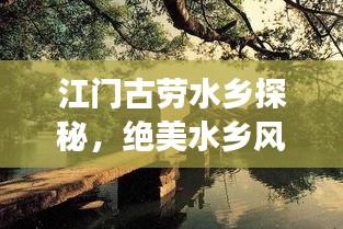 江门古劳水乡探秘，绝美水乡风情，必看的旅游攻略！