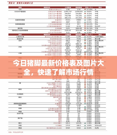 今日猪脚最新价格表及图片大全，快速了解市场行情