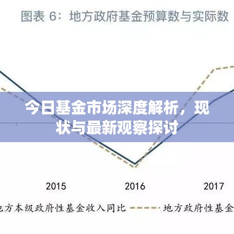 今日基金市场深度解析，现状与最新观察探讨