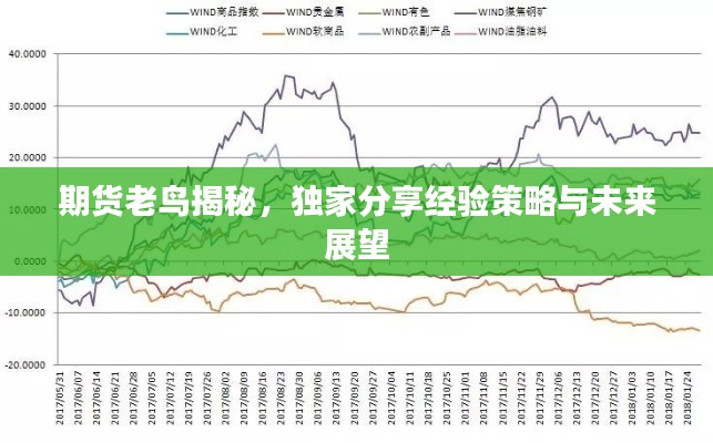 期货老鸟揭秘，独家分享经验策略与未来展望